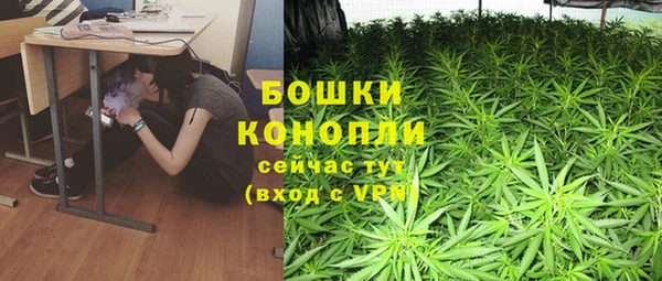 прущая мука Богданович