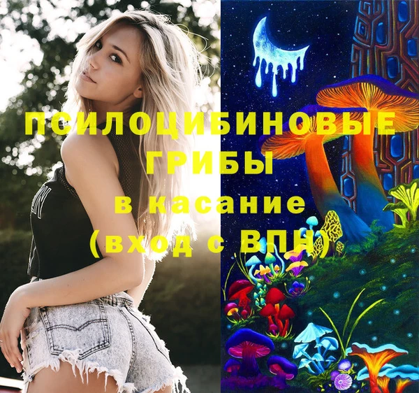 альфа пвп Богородицк
