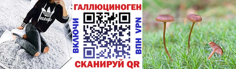 Галлюциногенные грибы GOLDEN TEACHER  Кузнецк 